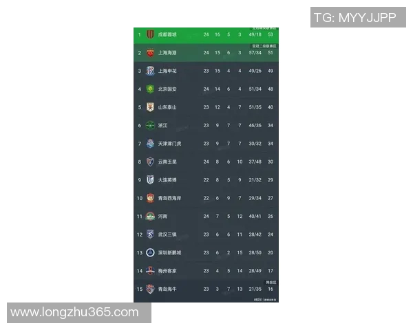 成都足球队在洲际杯积分榜上以55分稳居第一名展现强劲实力